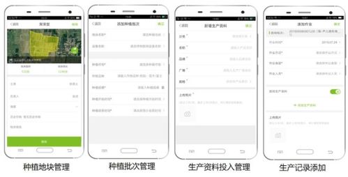 大田智慧農業投資1.28億元數字化服務，推動農產品安全生產與數字內容制作